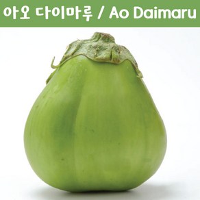 아오 다이마루 Ao Daimau 예쁜가지 희귀가지 키우기세트 교육 체험용 세트, 1개