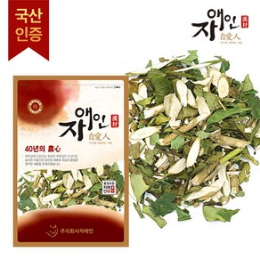 자애인 국산 황칠나무잎+가지 600g 10년생이상 황칠나무