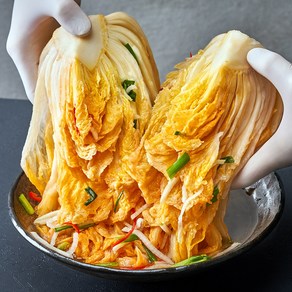 익을수록 맛있는 특제육수 백김치, 3kg, 1개