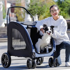 대형 애완 동물 고양이 개 유모차 노견 산책