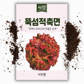 적축면 꽃상추씨앗-상추씨(3000립)