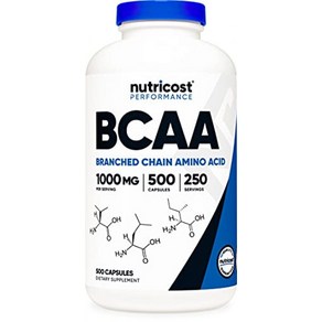 뉴트리코스트 BCAA 류신 단백질 알약 운동전 부스터 500정, 1개