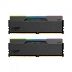 ESSENCORE KLEVV DDR5-6000 CL30 CRAS V RGB 패키지 서린 (64GB(32Gx2)), 2개