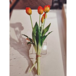 [모던하우스 충장점]튤립부쉬 x5 41cm_오렌지_AF0124027, 1개