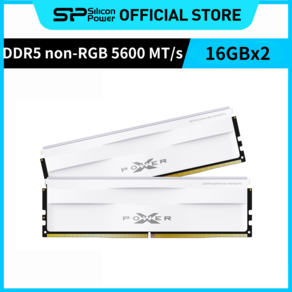 실리콘파워 Silicon Powe non-RGB DDR5-5600 16GB*2 CL40 PC5-44800 데스크탑 메모리 램, 화이트, 2개