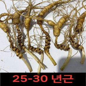 25-30년근 백두산산삼 임하산 산양산삼 장뇌삼 5뿌리