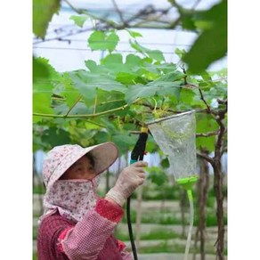 포도 침지기 지베렐린처리기 포도수정기계 분무기, 비계 22cm, 1개