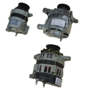 발랑카 소형 발전기 제네레이터 브러시리스 농기계 가정용 220V 800W, 1개