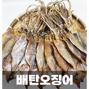 배탄오징어!!~ 선원들이 살아있는 오징어를 직접 할복 해풍에 건조한 오징어! 소5미 소10미 20미, 1박스, 소10미내외(500g)