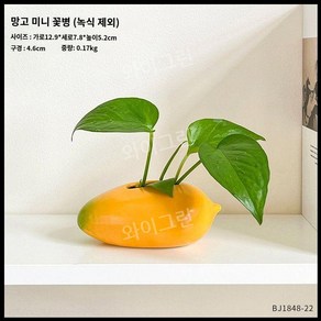 거실 인테리어 세라믹 꽃병 꽃꽂이 수경재배 식물 데스크 장식품, 망고(소)