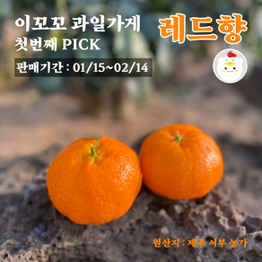 (끝물 특가)제주 서귀포 16-18Bix 고당도 못난이 레드향(중소과 가정용) 3kg 5kg 실중량, 1박스, 못난이 레드향 3kg(실중량,중소과 20개 이내)