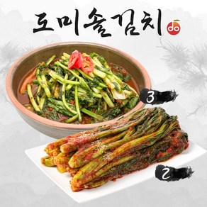 도미솔 맛있는 열무김치 3kg+갓김치 2kg(총 5kg)