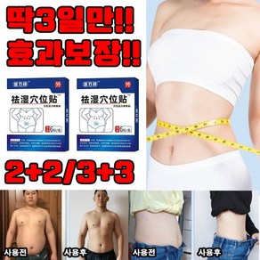 [정품보증] 2+2/3+3 다이어트 패치 습기 제거 패치 초본배독혈위거습편첩 복부 다이어트 패치 건강한 습기 해소 경혈 패치 한방 속효 선물 랜덤 증정