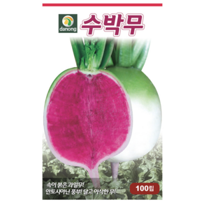 다농 수박무 씨앗 100p, 1개