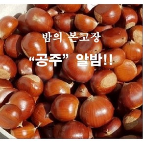 24년햇공주밤(대) 2kg ~8kg