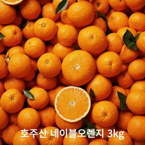 미친 과즙 고당도 호주산 네이블 오렌지 3kg 5kg, 1박스, 고당도 네이블오렌지3KG(14~17과)(