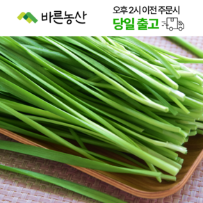 < 바른농산 > 당일수확 국내산 부추 1kg 2kg 4kg, 1개