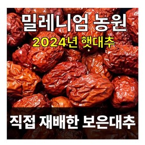 2024/보은대추/밀레니엄 농원/대추/건대추(1kg)