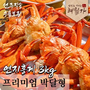 [수율보장] 주문진 박달형 연지홍게 자숙홍게 찜발송 산지직송 3kg (9-11미)