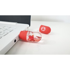 예쁜 USB 32G 스노우볼 키링 - RED BLUE, 32GB