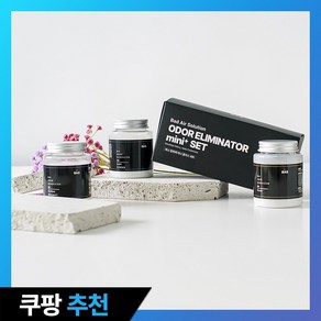 BAS 바스 탈취제 미니 플러스 3개세트(선물포장)_베이비파우더향, 3개, 160ml