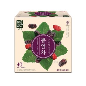 녹차원국내산뽕잎차 40티백(구수한 맛), 40개, 40g, 1개, 1g