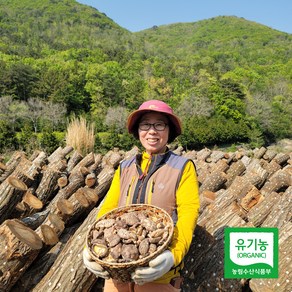 태평가 건조 표고버섯 500g 1kg 유기농 인증 건 표고, 2개