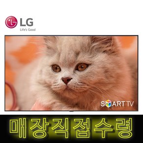 LG 65인치 4K 올레드 스마트 UHD TV OLED65GX 넷플릭스 유튜브, 고객직접설치, 벽걸이형