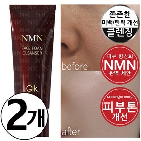 GIK NMN 에디션 페이스 폼 클렌저 120ml, 2개