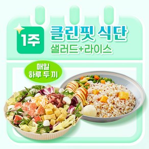 [포켓샐러드] 샐러드&라이스 1주 클린핏 식단/ 샐러드와 도시락으로 더 맛있는 관리 (총 12팩), 240g, 12개