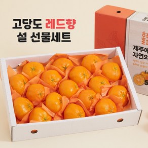 제주도 레드향 3kg 5kg 10kg 가정용 선물용 설 구정 추석 명절 선물세트, 1개, 6. 선물용 5kg 대과