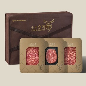 [구미우] 1++9등급 이룸 한우 선물세트 4호 등심+안심+채끝살/각200g/총600g, 1세트
