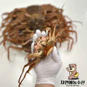 암컷대게 빵게 북해도산, 1박스, 1kg