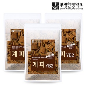 부영한방약초 거피 계피 YB2 300g 베트남, 3개