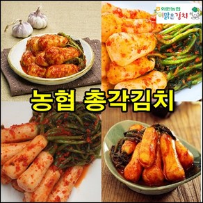 해남 농협 총각김치 3kg 전라도 알타리 김치, 1개