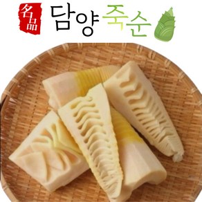 24년 국내산 담양 햇 죽순 삶은죽순 생죽순 대나무순 냉동죽순 1kg 2kg 죽순요리, 1개