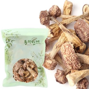 동의한재 국산 아가리쿠스 버섯 신령버섯 100g, 1개