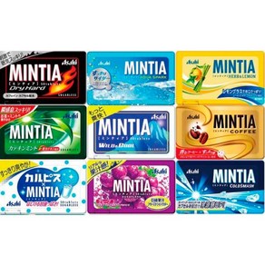 민티아 MINTIA 구강청량 평일3시 토요일3시발송, 6.콜드스매쉬, 1개, 7g