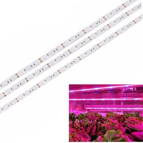 스트립 식물 1m 2m 성장 LED 5050 스펙트럼 온실 수경 조명 5m 재배용, 50CM 30LEDs, non watepoof, 5 ed 1 blue, 1개