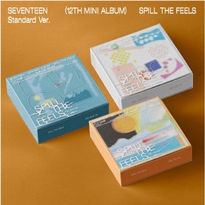 개봉앨범 포토카드 없음 / 세븐틴 SEVENTEEN 미니 12집 앨범 SPILL THE FEELS - FEEL YOU 버전