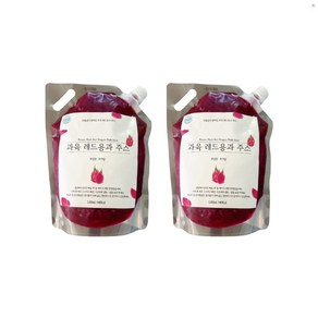 레드용과 주스 1kg x 2팩 300미리 6병 무설탕 무첨가 리얼 쥬스, 2개, 1L