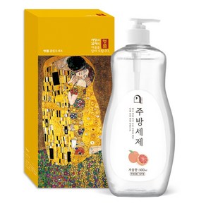 오늘의쉼표 세제 선물세트 답례품 자몽 4호 (주방세제 펌프 500ml ), 1개