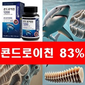 헤세이 철갑상어 콘도로이친 콘드론이친 코드레이친 1200, 1개, 60정