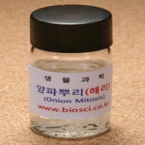 오피스안 양파뿌리(해리)10ml vial(40개입)BI-01