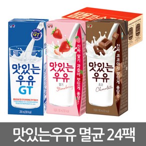 남양유업 남양 맛있는우유gt 멸균우유 딸기우유 초코우유x24팩, 04 남양 맛있는우유gt 흰우유12팩+딸기우유12팩, 1개