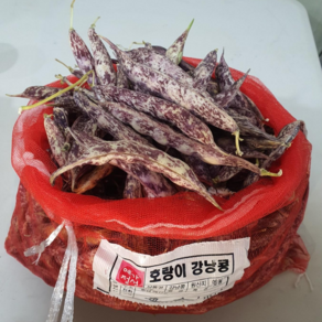 국내산 햇호랑이콩 껍질4kg(내외)/2kg 깐호랑이콩 2kg/1kg, 껍질 호랑이콩4kg, 1개