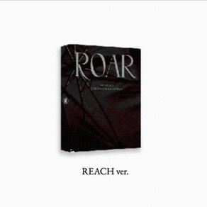 [The boyz] 더보이즈 8집 ROAR 플랫폼 platform ver. [reach ver.]