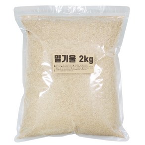 벅스앤미 밀기울 소맥피 2kg 대용량 지퍼백 ( 밀웜 슈퍼밀웜 귀뚜라미 먹이 ), 1개