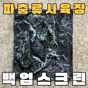 주스터디 극사실 파충류 크레편해 백업스크린, 1개, 암석20x20