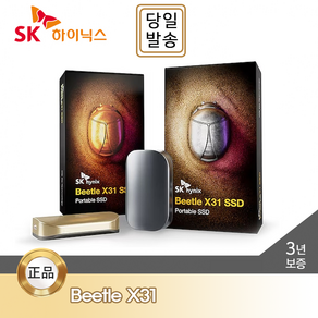 SK하이닉스 Beetle X31 Potable SSD 2TB DRAM 탑재 / 전용 케이스, 그레이